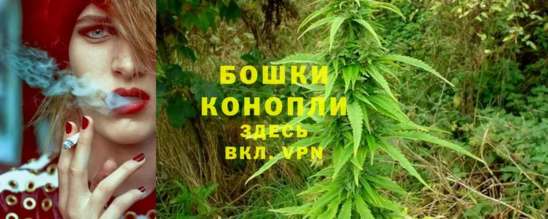 Шишки марихуана White Widow  где продают   Белинский 